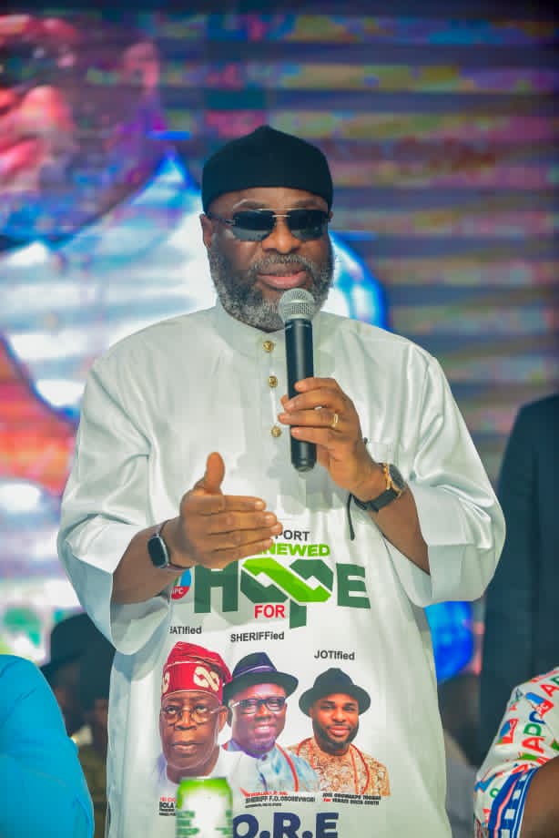 2027: Delta South APC nust deliver overwhelming victory — Joel-Onowakpo
