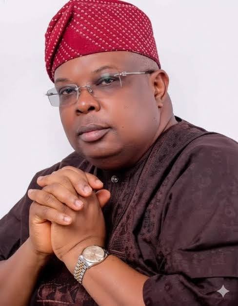 A possible light in an impossible darkness: The case of Joseph Tegbe, minister of power   By Akugbe Iyamu