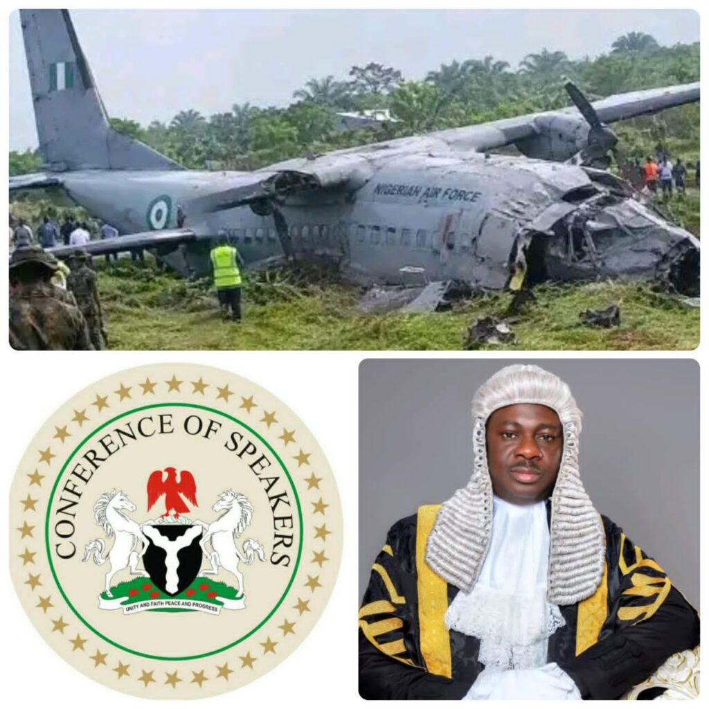Conference of Speakers mourn victims of NAF plane crash 